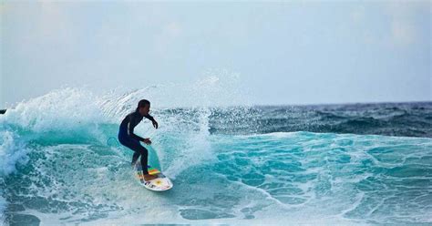 Private Tour Surf And Sip Around South Africa S Famous Cape South Africa Surfing Africa