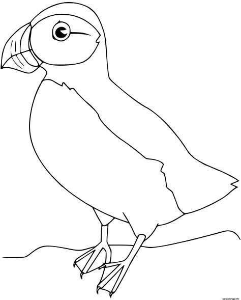 Coloriage Oiseau Buzz2000