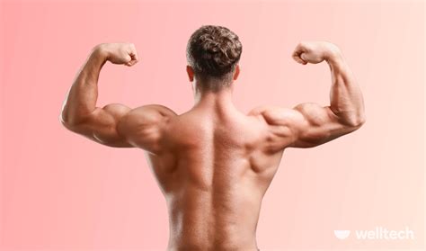 8 Back Exercises Without Weights Effective No Equipment Moves Welltech