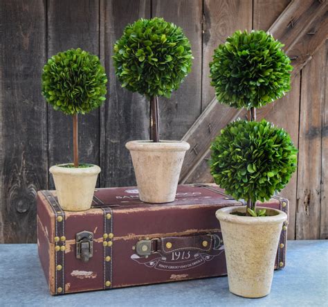 Preserved Boxwood Double Ball Topiary 20 Home Decorative Accents