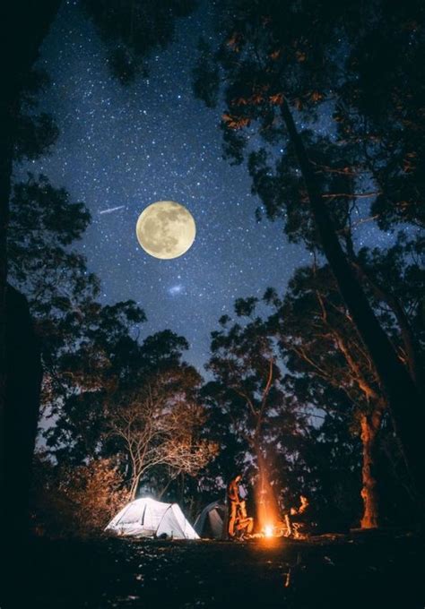 Full Moon Campfire Camping Photography Night Photography Nature