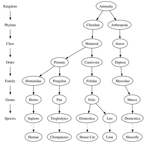 Introduction To Trees