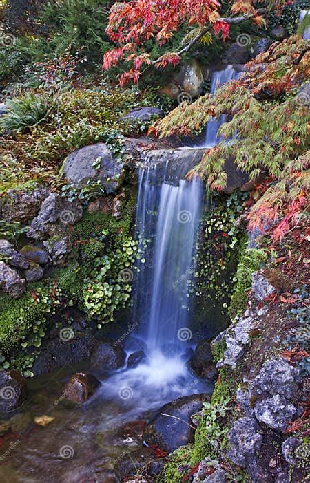 Autumn Waterfall Stock Image Image Of Plants Color 21677523