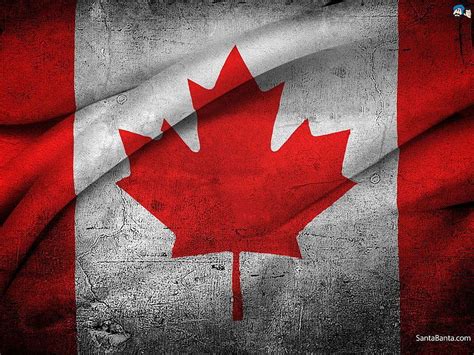 Canadian Flag Canada Flag Hd Wallpaper Pxfuel