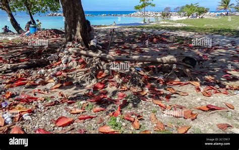 Stunning Caribbean Sea North Of Jamaica Montego Bay Bright Colors