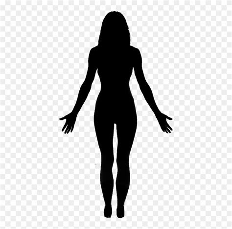 Woman Body Silhouette Vector A Ilustração De Uma Mulher Antes E