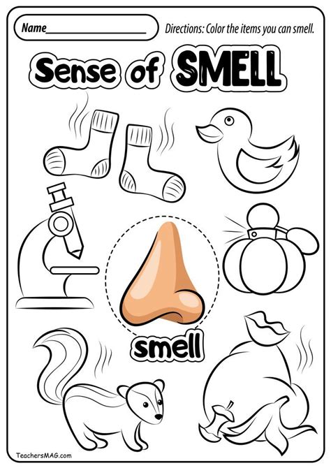 Free Five Senses Worksheets Senses Preschool Five