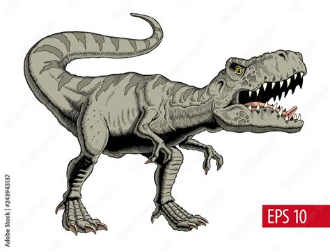 Tyrannosaurus Rex Or T Rex Dinosaur Isolated On White Comic Style Vector Illustration Stock