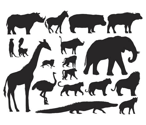 Animals Illustration Vector Art Set Download Free Vectors Clipart