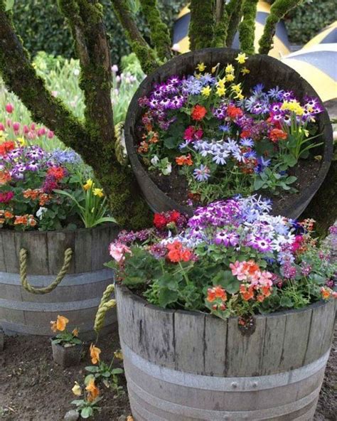 Barrels Of Flowers Garden Containers Outdoor Gardens Country Gardening
