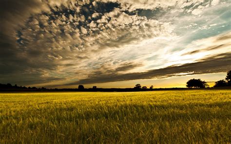 A broad, level, open expanse of land. Free photo: Sunset Over Fields - Blue, Fields, Journey ...