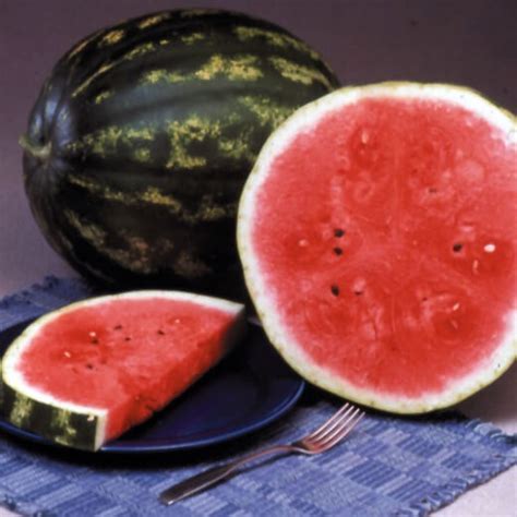 Crimson Sweet Watermelon Seeds 2410 | OSC Seeds