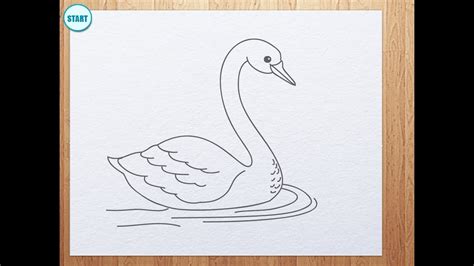 How To Draw Swan Youtube
