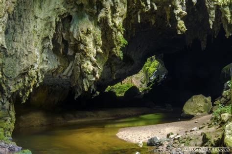 Cave Entrance Grotto Land Sous Stalagmites Terre Wallpapers Hd