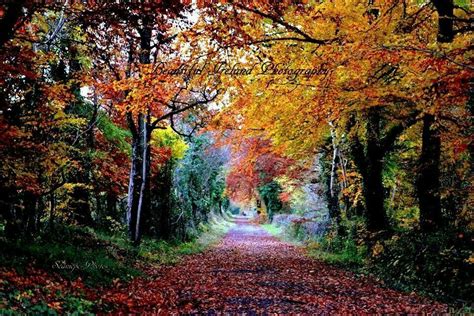 Autumn In Ireland Paisajes Lugares Para Visitar Fotografia