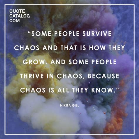 Meanwhile Poetry Quotecatalog “some People Survive Chaos And
