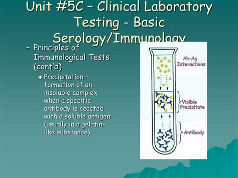 Ppt Unit 5c Clinical Laboratory Testing Basic Serology