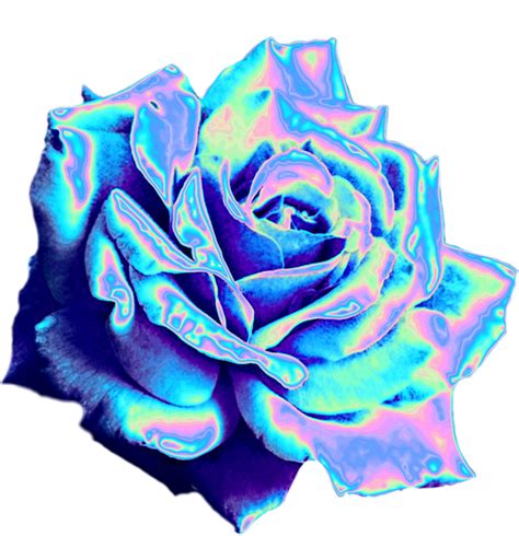 Flower Neon Rose Blue Pink Sticker By Lolitzbeccalol