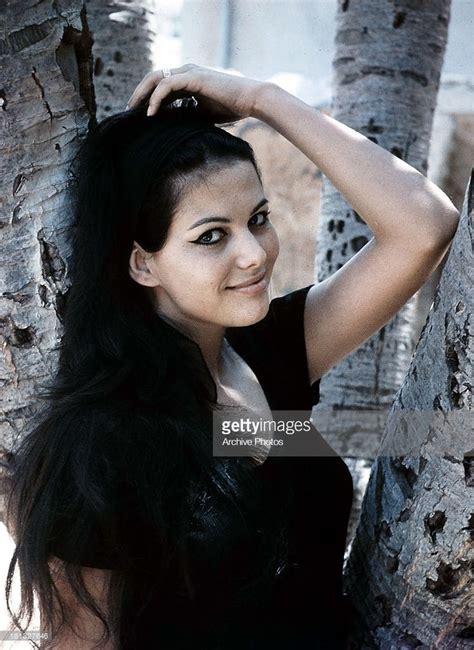Claudia Cardinale In A Publicity Portrait For The Film The Leopard