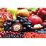 Antioxidant Fruit Powder Manufacturer  SFB® Standardized Blend ENI