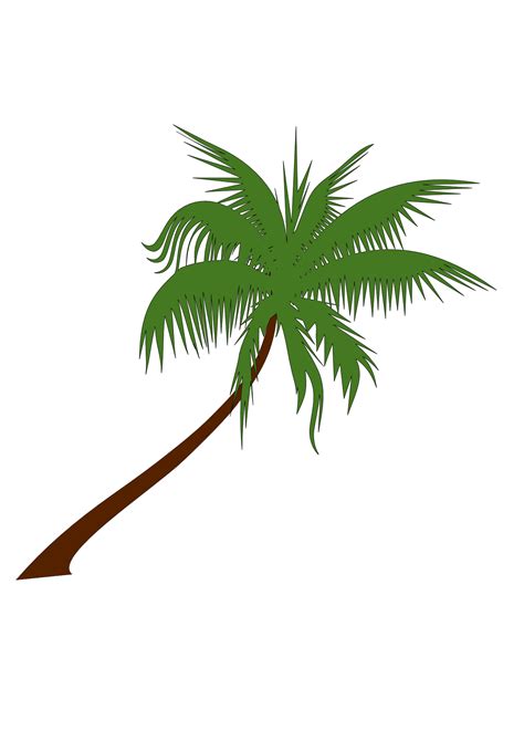 White Palm Tree Png Logo Palm Tree Vector Clipart Full Size Clipart