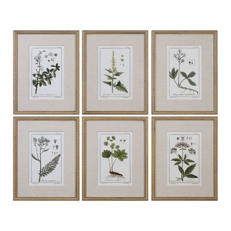 Vintage Botanical Framed Prints Set Of 6 Frames On Wall Art Set