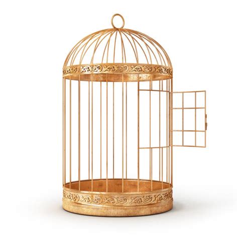 Bird Cage Stock Photos Pictures And Royalty Free Images Istock