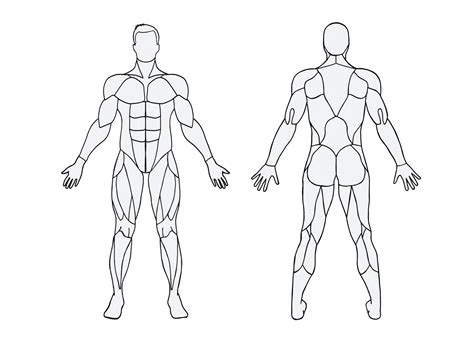 Almost every muscle constitutes one part of a pair of identical. 7 Situs Kursus Online Gratis untuk Mahasiswa & Pelajar ...