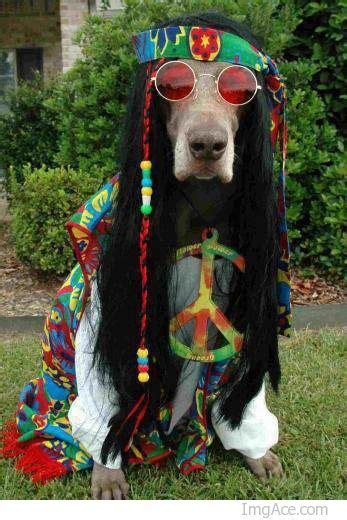 Hippie Guru Foto Di Cani Divertenti Peluche Di Animali Costume Da Cane