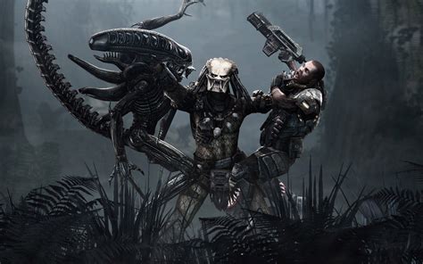 Here we will post images that you can use as desktop wallpapers, both official and otherwise. Alien vs Predator Wallpaper (80+ images)