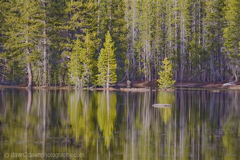 Yosemite Reflection Dawn2dawn Photography