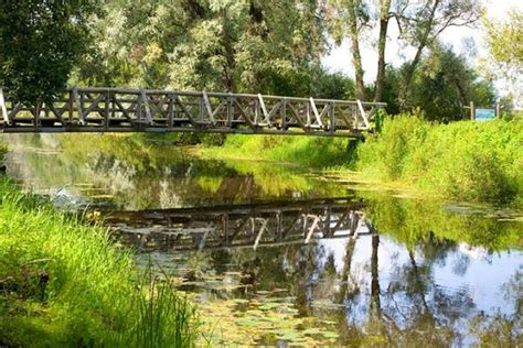 Alam Pedja Nature Reserve And Ilmatsalu Fish Ponds Visit Tartu