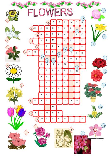 Flowers Crossword
