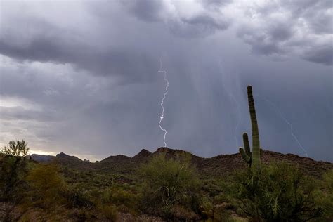 Saguaro And Lightning Photograph By Eugene Thieszen