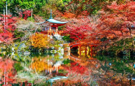 Wallpaper Autumn Leaves Trees Park Japan Kyoto Nature Bridge