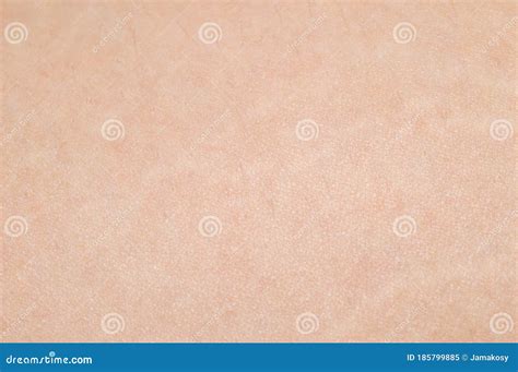 Macro Of Human Skin Human Skin Texture Background Stock Image Image