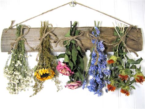 12 Methods For Preserving Or Drying Flowers Feltmagnet