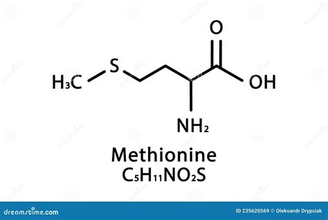 Methionine Molecular Structure Methionine Skeletal Chemical Formula
