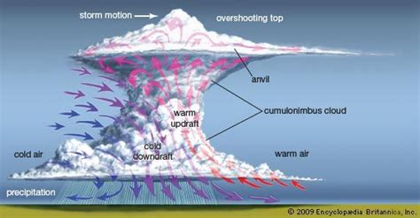 Anatomy Of A Thunderstorm