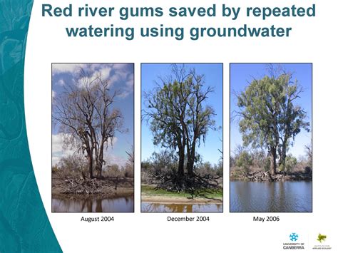 Lessons From Australias Millennium Drought Mavens Notebook Water News