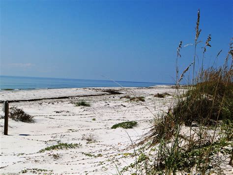 Best Public Beaches Near Jacksonville Fl Student