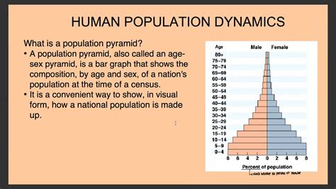 Biology Population Studies 4 Human Population Dynamics Youtube