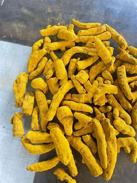 Salem Turmeric Finger At Rs Kg Balapur Hingoli District Id