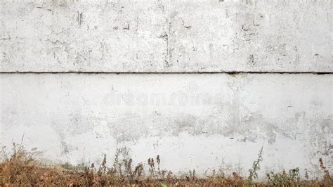 Green Grass On A Gray Concrete Wall Background Uneven Wall Surface And
