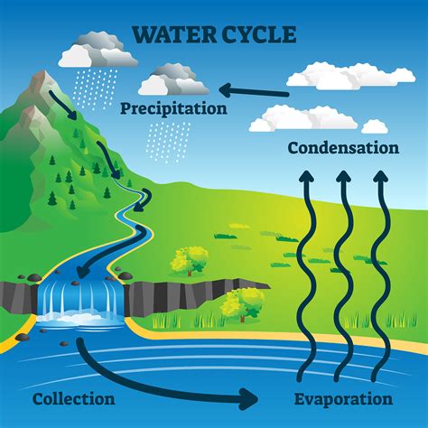 The Water Cycle Demos For Each Stage Of The Hydrologic Cycle