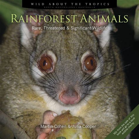 Experience a tropical thunderstorm in the rainforest. Rainforest Animals: Rare, Threatened and Significant ...