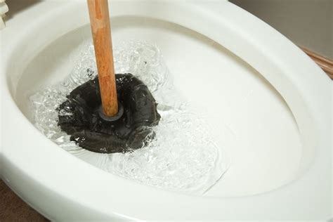 How To Unclog A Toilet Clogged Toilet