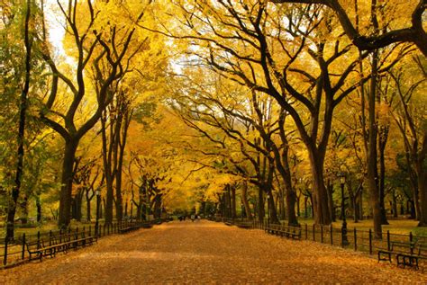A Complete Guide On How To Enjoy Central Park In The Fall