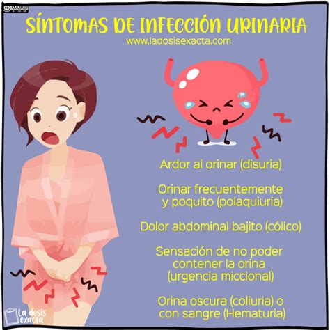 Infección urinaria en la mujer síntomas tratamiento y prevención Dra Natalia Vásquez
