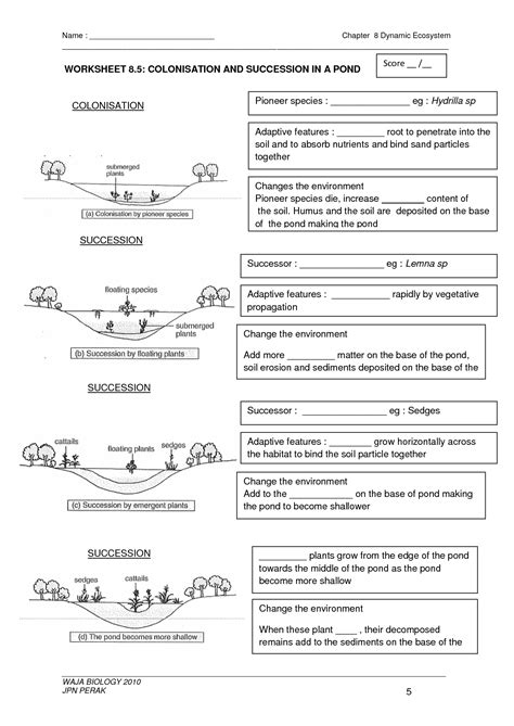 17 Best Images of Primary Vs Secondary Succession Worksheet - Primary and Secondary Succession ...